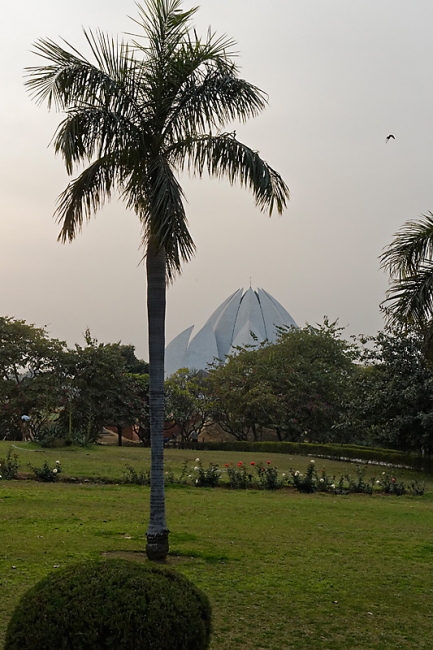 Delhi-Temple du lotus-002